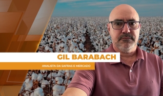 Gil Barabach - Analista da Safras e Mercado