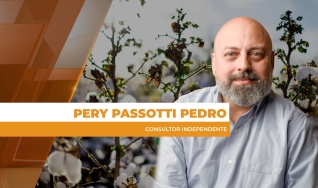 Pery Passotti Pedro - Consultor Independente