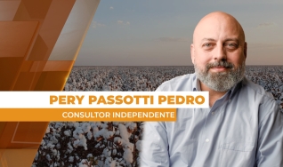 Pery Passotti Pedro - Consultor Independente