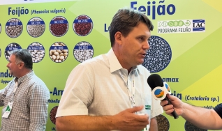 Alisson Chiorato - Pesquisador IAC