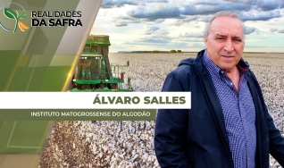 Álvaro Salles - Instituto Matogrossense do Algodão