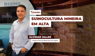 Alvimar Jalles - Consultor de Mercado  da Asemg