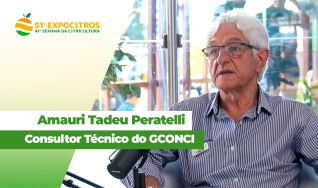 Amauri Tadeu Peratelli Consultor Técnico do GCONCI