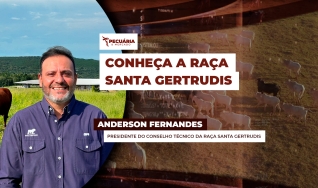 Anderson Fernandes - Presidente do Conselho Técnico da Raça Santa Gertrudis