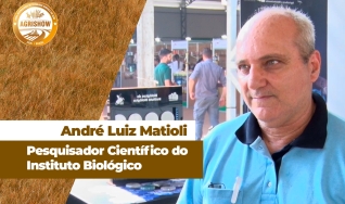 André Luiz Matioli