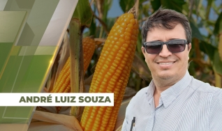 André Luiz Souza - Diretor Técnico da AgroLíder Consultoria Agronômica
