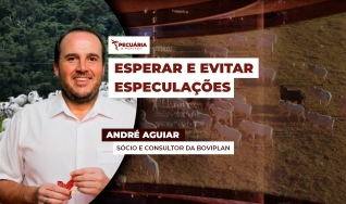 André Aguiar - Sócio e Consultor da Boviplan
