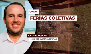 André Aguiar - Sócio e Consultor da Boviplan