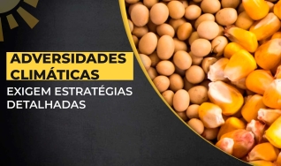 Alberto Pessina - Consultor de mercado e fundador da AgroMove