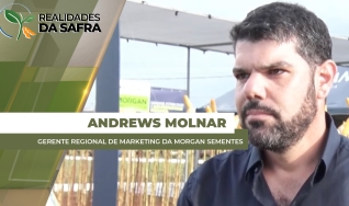 Andrews Molnar - Gerente Regional de Marketing da Morgan Sementes