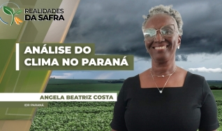 Angela Beatriz Costa - IDR-Paraná