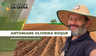 Antoniane Arantes de Oliveira Roque - Engenheiro Agrícola da CATI