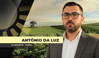Antônio da Luz - Economista - FARSUL