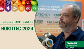 Antônio Pierro, Líder de P&D Nunhems América Latina