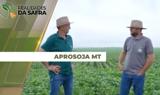 Aprosoja MT