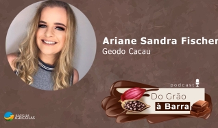 Ariane Sandra Fischer, Geodo Cacau