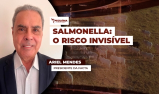 Ariel Mendes - Presidente da Facta