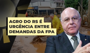 Arnaldo Jardim - Vice-Presidente FPA