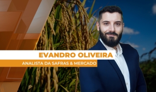 Evandro Oliveira - Analista da Safras & Mercado