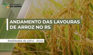 Luiz Fernando Siqueira - gerente da Extensão Rural do Irga