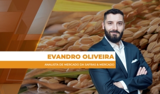 Evandro Oliveira - Analista de Mercado da Safras & Mercado