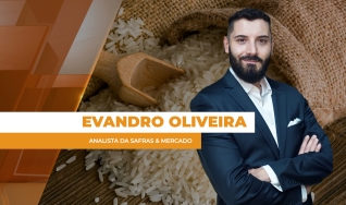Evandro Oliveira - Analista da Safras & Mercado