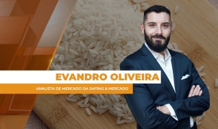 Evandro Oliveira - Analista de Mercado da Safras & Mercado
