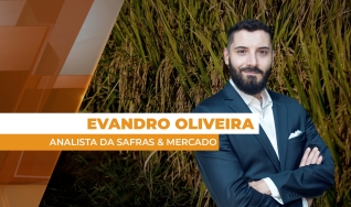 Evandro Oliveira - Analista da Safras & Mercado