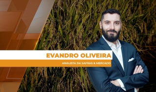 Evandro Oliveira - Analista da Safras & Mercado