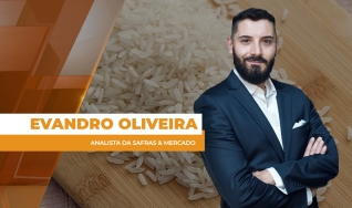Evandro Oliveira - Analista da Safras & Mercado