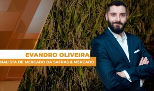 Evandro Oliveira - Analista de Mercado da Safras & Mercado