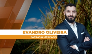 Evandro Oliveira - Analista de Mercado da Safras & Mercado