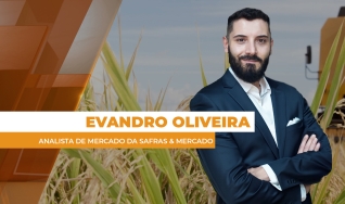 Evandro Oliveira - Analista de Mercado da Safras & Mercado