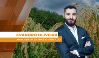 Evandro Oliveira - Analista da Safras & Mercado