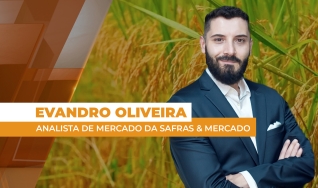 Evandro Oliveira - Analista de Mercado da Safras & Mercado