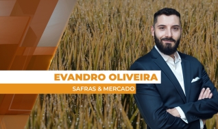 Evandro Oliveira - Analista de Mercado da Safras & Mercado