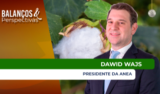 Dawid Wajs - Presidente da Anea