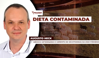 Augusto Heck - Médico-Veterinário e Gerente de Micotoxinas da dsm-firmenich