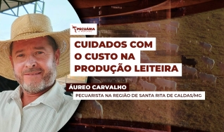 Áureo Carvalho - Pecuarista na Região de Santa Rita de Caldas/MG