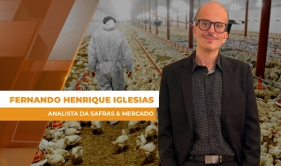 Fernando Henrique Iglesias - Analista da Safras & Mercado