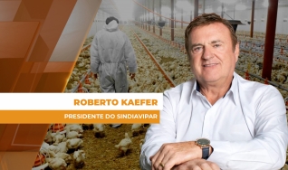 Roberto Kaefer - Presidente do Sindiavipar