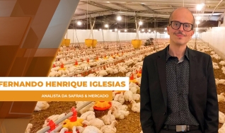 Fernando Henrique Iglesias