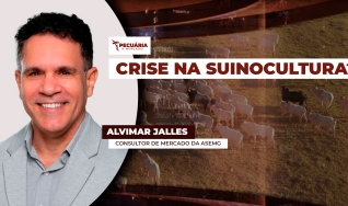 Alvimar Jalles - Consultor de Mercado da ASEMG