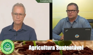 Tempo  & Dinheiro - Com João Batista Olivi