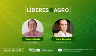 Mario Carvalho - CEO da SEEDCORP I HO