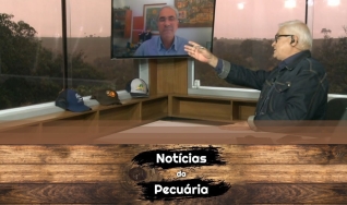 Tempo  & Dinheiro - Notícias da Pecuária, com Sérgio Braga