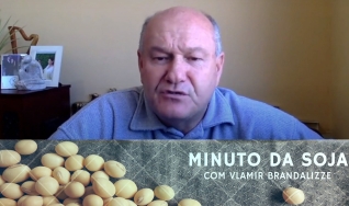 Tempo  & Dinheiro - Minuto da Soja, com Vlamir Brandalizze