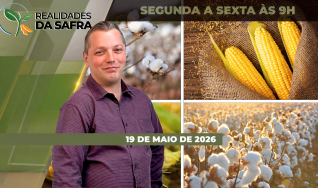 Realidades da Safra - Notícias Agrícolas
