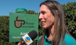 Juliana Rezende - Produtora de Café em Monte Carmelo