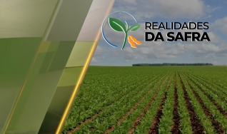 Realidades da Safra - Notícias Agrícolas